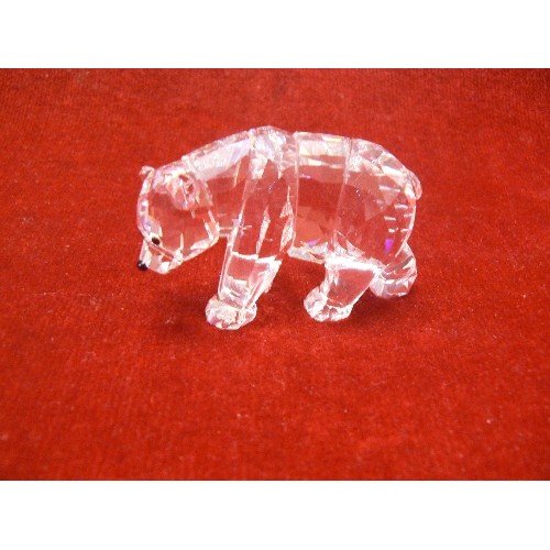 21 - SWAROVSKI CRYSTAL GRIZZLY BEAR A 9100 NR 000 057 WITH BOX