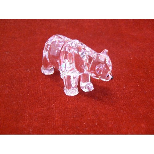 21 - SWAROVSKI CRYSTAL GRIZZLY BEAR A 9100 NR 000 057 WITH BOX