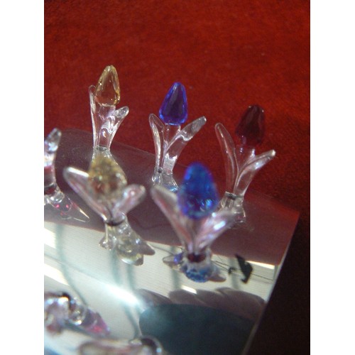 18 - SWAROVSKI CRYSTAL DISPLAY TULIP FOR 3 YEARS RENEWAL 600347 (RARE) BOXED