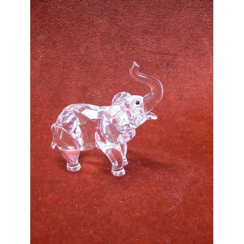 13 - SWAROVSKI CRYSTAL  ELEPHANT A 7640 NR000 001 WITH BOX