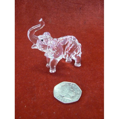 13 - SWAROVSKI CRYSTAL  ELEPHANT A 7640 NR000 001 WITH BOX