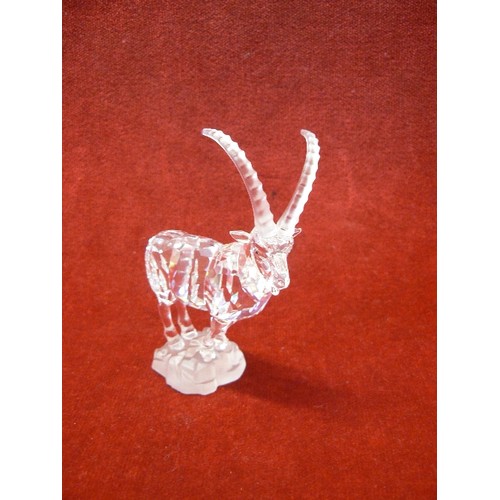 8 - SWAROVSKI CRYSTAL IBEX 275439 INCORRECT  BOX