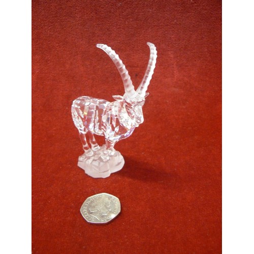 8 - SWAROVSKI CRYSTAL IBEX 275439 INCORRECT  BOX