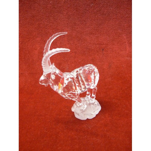 8 - SWAROVSKI CRYSTAL IBEX 275439 INCORRECT  BOX