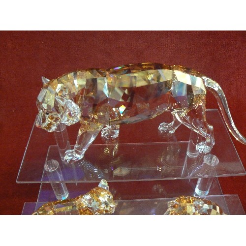 33 - Swarovski crystal SCS Annual Edition 2010 Tiger set MIB #1003148 With Cubs RARE Swarovski Crystal 20... 