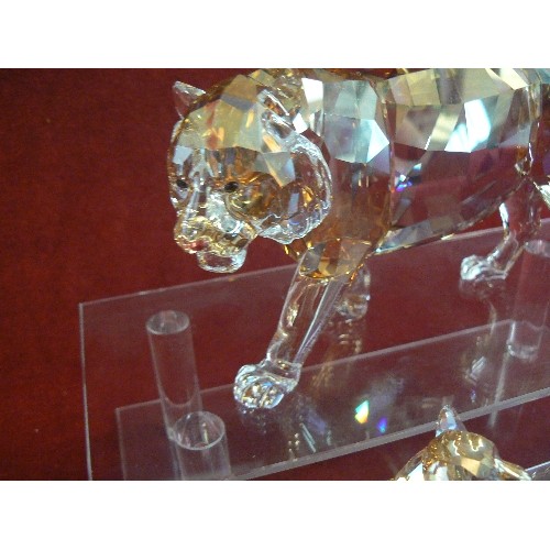 33 - Swarovski crystal SCS Annual Edition 2010 Tiger set MIB #1003148 With Cubs RARE Swarovski Crystal 20... 