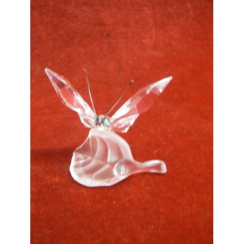 28 - SWAROVSKI CRSTAL BUTTERFLY ON LEAF 1829203 BOXED