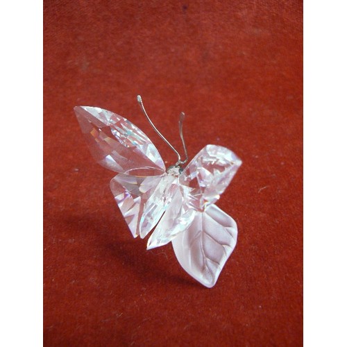 28 - SWAROVSKI CRSTAL BUTTERFLY ON LEAF 1829203 BOXED