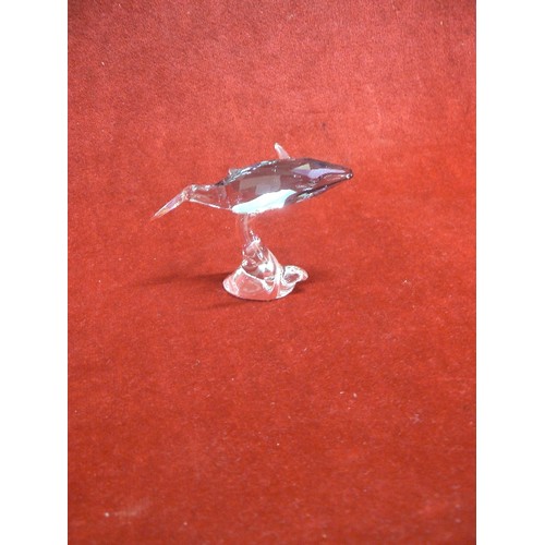 23 - Swarovski crystal SCS Annual Edition Young Whale 2012 MIB #1096741