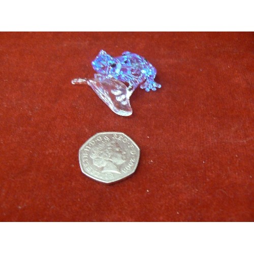 46 - Swarovski crystal Blue Dart Frog 2009 SCS Event 955439 Crystal Figurine rare collectors boxed