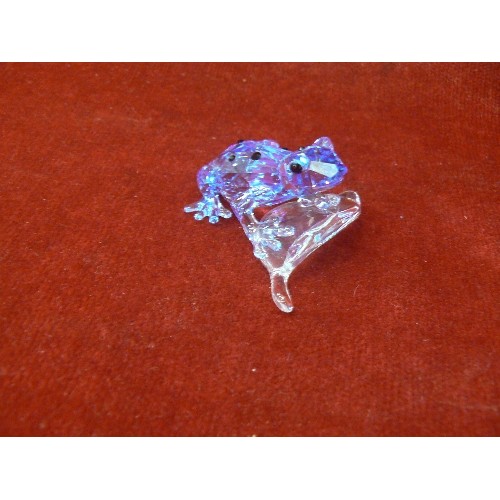 46 - Swarovski crystal Blue Dart Frog 2009 SCS Event 955439 Crystal Figurine rare collectors boxed