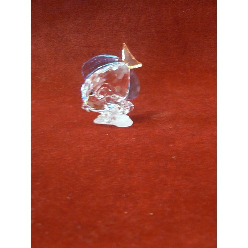 52 - Swarovski Crystal 2007 SCS Blue Tang Fish 886180