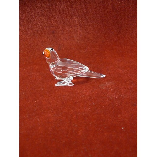 55 - BEAUTIFUL SWAROVSKI CRYSTAL BIRD PARROT PARAKEET 294047 BOXED