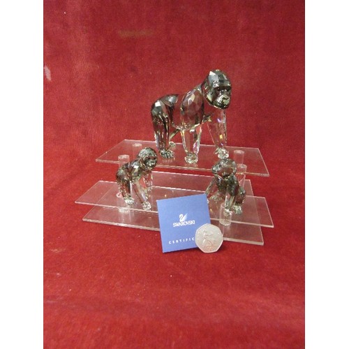 37 - SWAROVSKI 2009 ANNUAL EDITION GORILLAS MOTHER AND CUB 952504 SET BOXED PLUS DISPLAY BASE