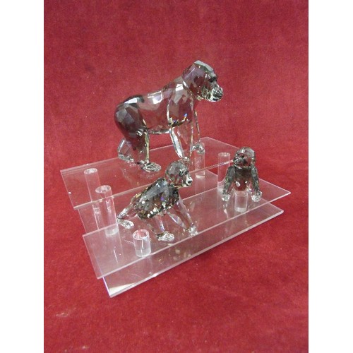 37 - SWAROVSKI 2009 ANNUAL EDITION GORILLAS MOTHER AND CUB 952504 SET BOXED PLUS DISPLAY BASE