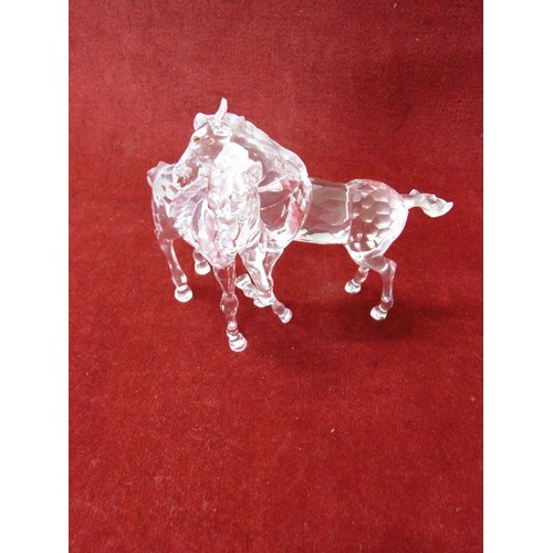 38 - SWAROVSKI CRYSTAL PAIR OF FOALS FIGURINE 627637 BOX WITH SLEEVE