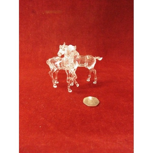 38 - SWAROVSKI CRYSTAL PAIR OF FOALS FIGURINE 627637 BOX WITH SLEEVE