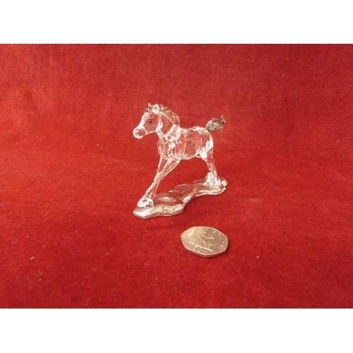 40 - Swarovski SCS Foal 2014 Annual Edition MIB #5004729