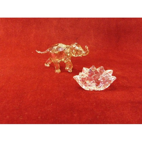 49 - Swarovski Crystal Figurine Young Elephant MIB, 1142862 with plaque and box