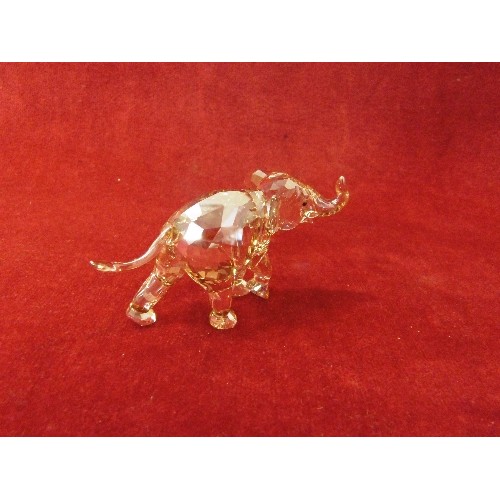 49 - Swarovski Crystal Figurine Young Elephant MIB, 1142862 with plaque and box