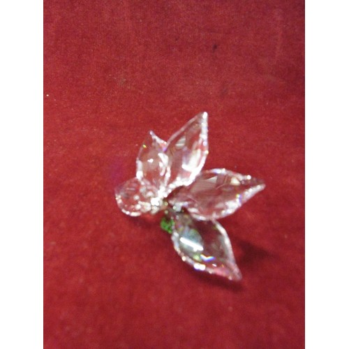 56 - RARE Swarovski Crystal ORCHID 1142858 2013 Joining Gift Mint Boxed Retired SCS