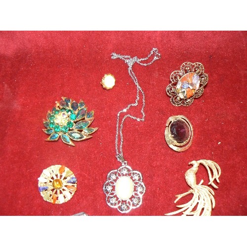 245 - COSTUME JEWELLERY BROOCHES.