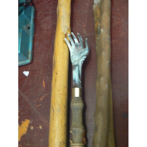 256 - 3 X KNOBBLY WOOD WALKING STICKS, 1 HAS METAL BADGES 'INNSBRUCK' ETC, ALSO A BACK-SCTRATCHER/SHOE HOR... 