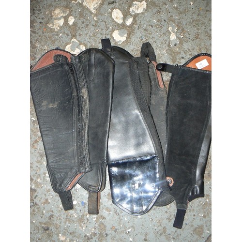 403 - 3 PAIRS OF RIDING CHAPS.