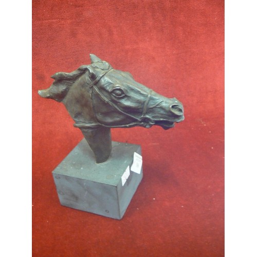 306 - HORSE HEAD SCULPTURE. APPEARS TO BE BRONZE & SIGNED 'TINEY 1976' ? NUMBER 12/200