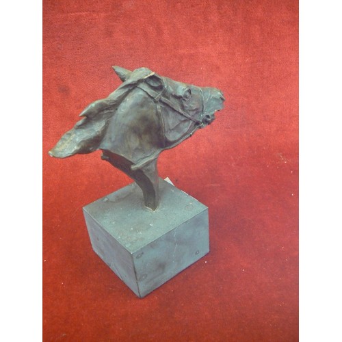 306 - HORSE HEAD SCULPTURE. APPEARS TO BE BRONZE & SIGNED 'TINEY 1976' ? NUMBER 12/200