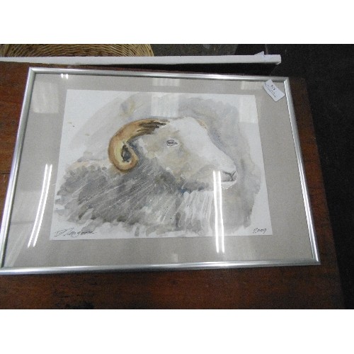 538 - FRAMED AND GLAZED WATERCOLOUR OF RAMS HEAD SIGNED