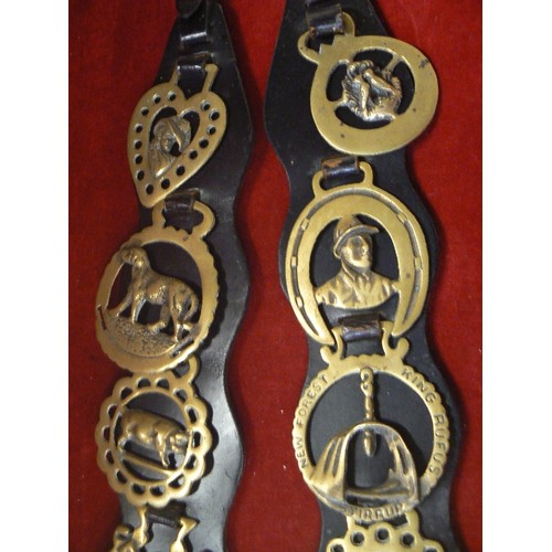 180 - VINTAGE HORSE BRASSES DISPLAYED ON 2 X LEATHER STRAPS.