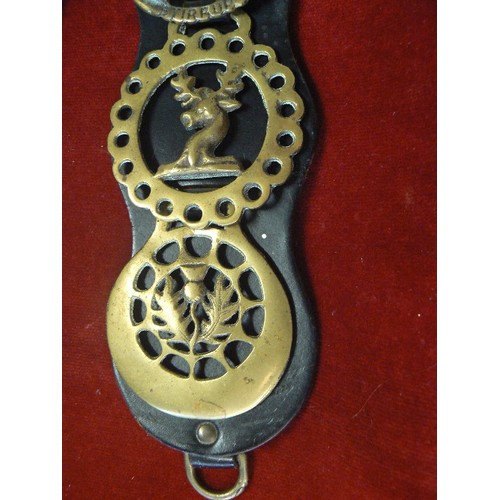 180 - VINTAGE HORSE BRASSES DISPLAYED ON 2 X LEATHER STRAPS.