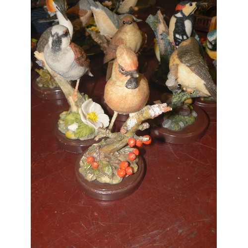 212 - BRITISH BIRD COLLECTION BY ATLAS EDITIONS. X 15 INC WAXWING, HOUSE SPARROW, ROBIN ETC. RESIN.