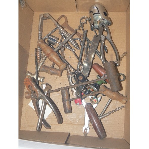 156 - BOX OF BOTTLE OPENERS, CORKSCREWS, NUTCRACKERS, BLUEBIRDS ETC