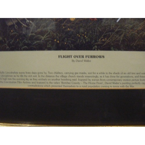 91A - LIMITED EDITION 45/500 FLIGHT OVER FURROWS BY DAVID WALLER