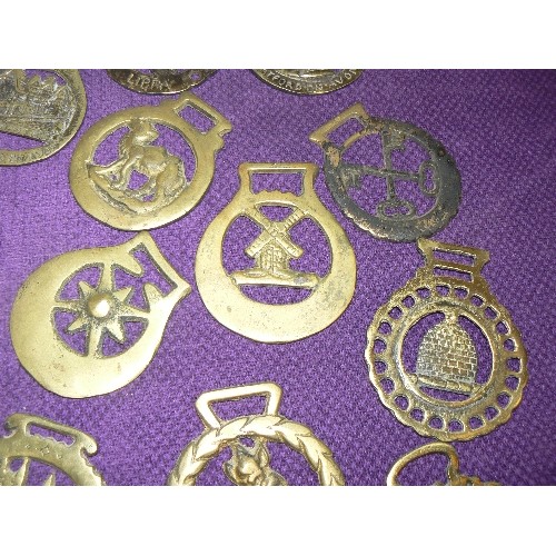 92 - 13 X VINTAGE HORSE BRASSES.