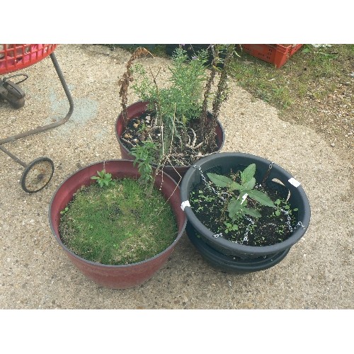 564 - 2 RED PLASTIC PLANT POTS AND 2 HANGING BASKETS