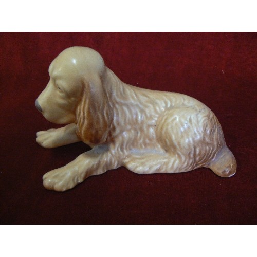 8 - A SYLVAC COCKER SPANIEL LAYING DOWN