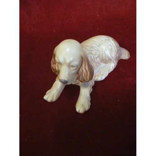 8 - A SYLVAC COCKER SPANIEL LAYING DOWN