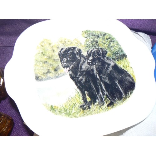 96 - 20 X COLLECTABLE PLATES. A HAND-PAINTED WEDGEWOOD 'BLACK LABRADORS' BY D.BATES 1993, 4 X POOLE POTTE... 