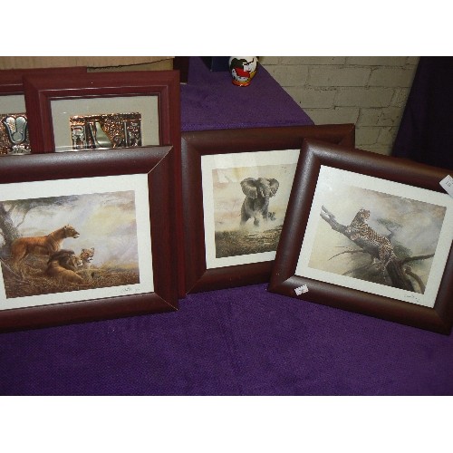 188 - SET OF 3 WILDLIFE PRINTS, FRAMED AND GLAZED AND  2 METALIC 3D EGYPTIAN PICTURES