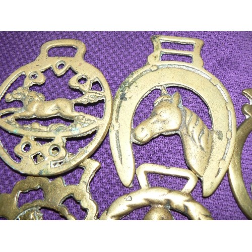 203 - COLLECTION OF 13 HORSE BRASSES