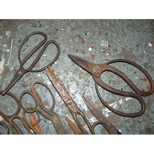 206 - QUANTITY OF LARGE VINTAGE SCISSORS POSSIBLE TAILORS