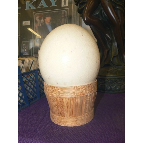 110 - VINTAGE OSTRICH EGG. SITTING IN A BAMBOO BASKET.