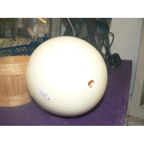 110 - VINTAGE OSTRICH EGG. SITTING IN A BAMBOO BASKET.