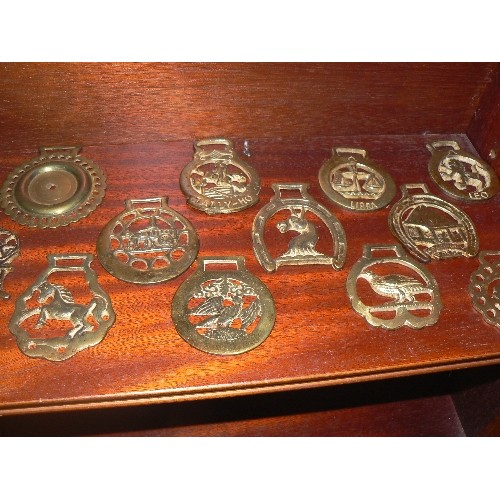 432 - 15 VINTAGE HORSE BRASSES AND A PAIR OF SIAMESE CATS.