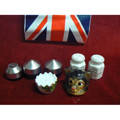 60 - COLLECTION OF SALT AND PEPPER POTS