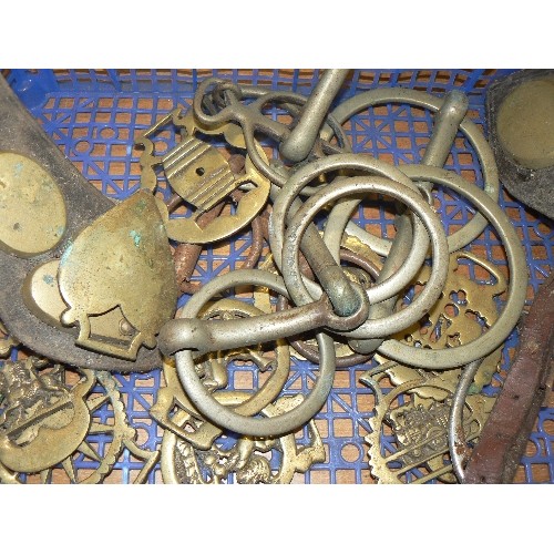 226 - EARLY VINTAGE HORSE BRASSES, SOME ON STRAPS, ALSO BITS ETC