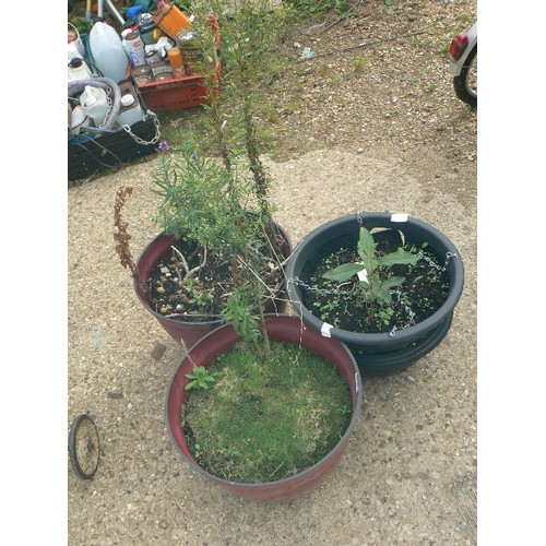 447 - 2 RED PLASTIC PLANT POTS AND 2 HANGING BASKETS